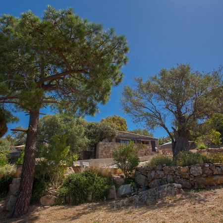 Villa Bodri, Maison En Pierre Avec Vue Mer Et Piscine Chauffee Л'Иль-Рус Экстерьер фото